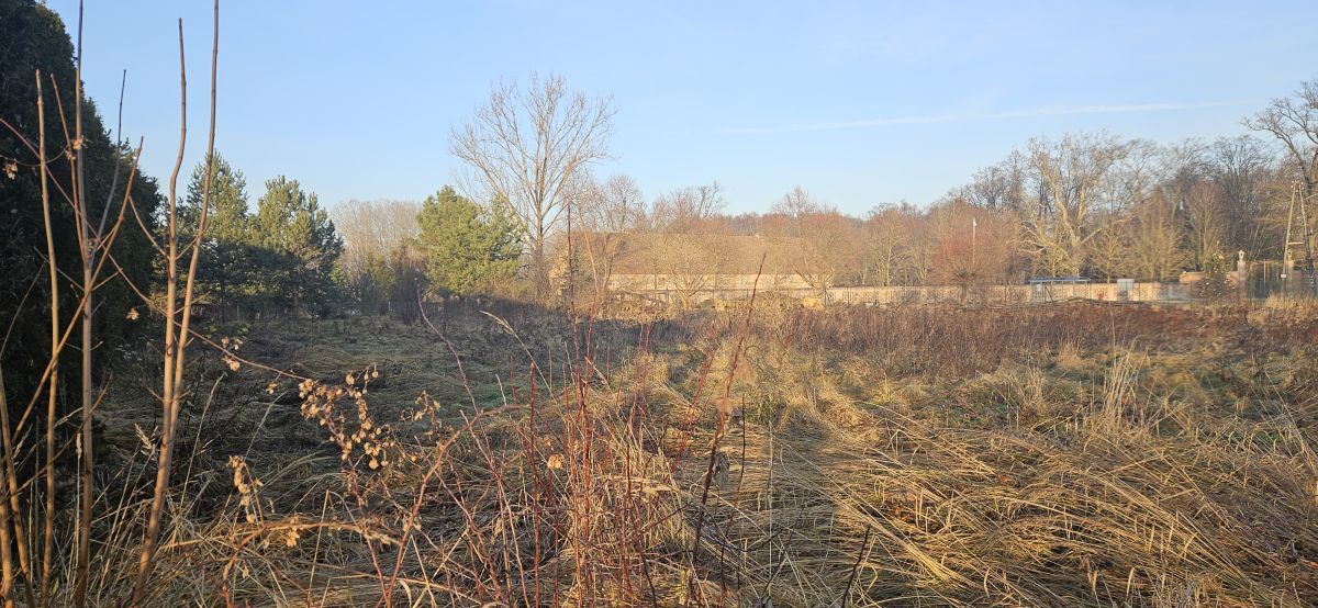 Działka budowlana Chróstnik. Zdjęcie 5