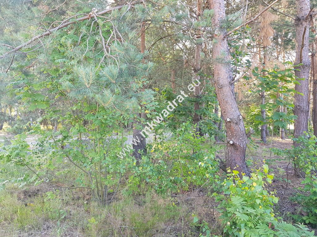 Działka budowlana Jesionka. Zdjęcie 7