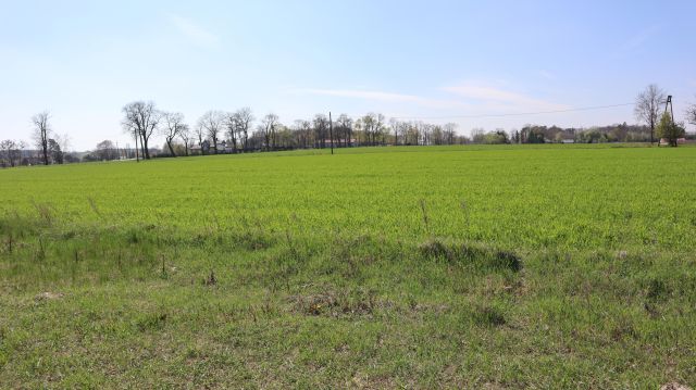 Działka budowlana Charbice Dolne. Zdjęcie 5
