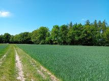 Działka budowlana Lipno. Zdjęcie 1