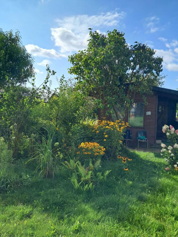 Działka rod Zamość, ul. Czesława Miłosza. Zdjęcie 7