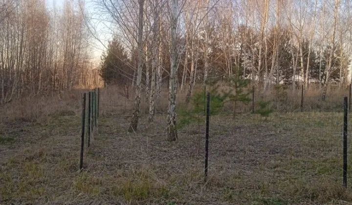 Działka budowlana Długie