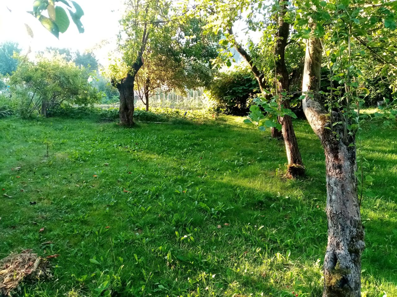 Działka rod Lublin Zimne Doły, ul. Wojciechowska. Zdjęcie 6