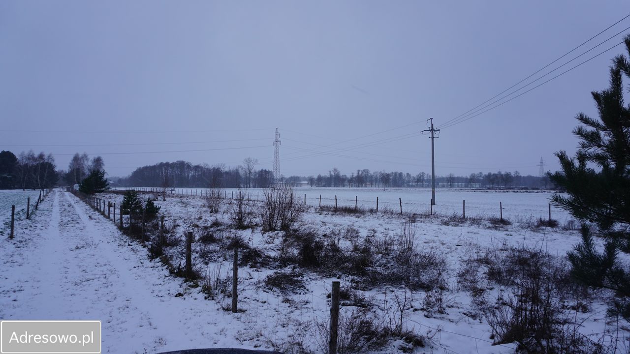 Działka budowlana Barłogi. Zdjęcie 9