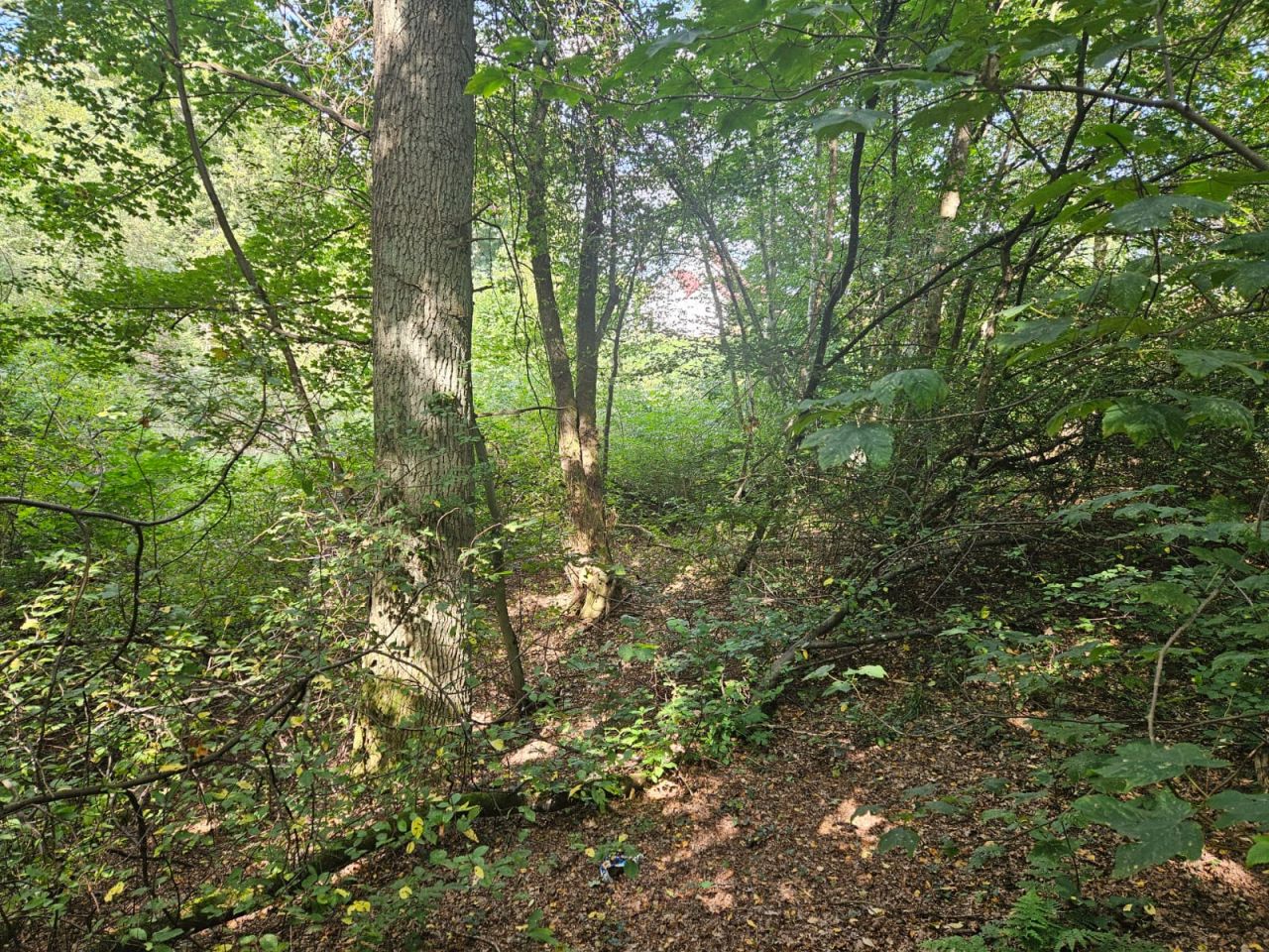 Działka budowlana Krosino, Krosino. Zdjęcie 11