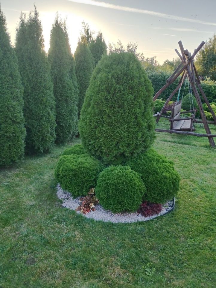 Działka rod Ostrowiec Świętokrzyski, ul. Onufrego Zagłoby. Zdjęcie 8