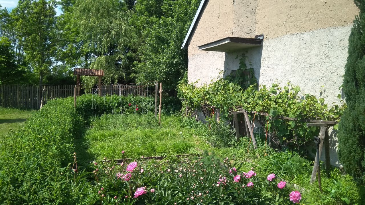 siedlisko, 5 pokoi Łąkie, ul. Podstawowa. Zdjęcie 12
