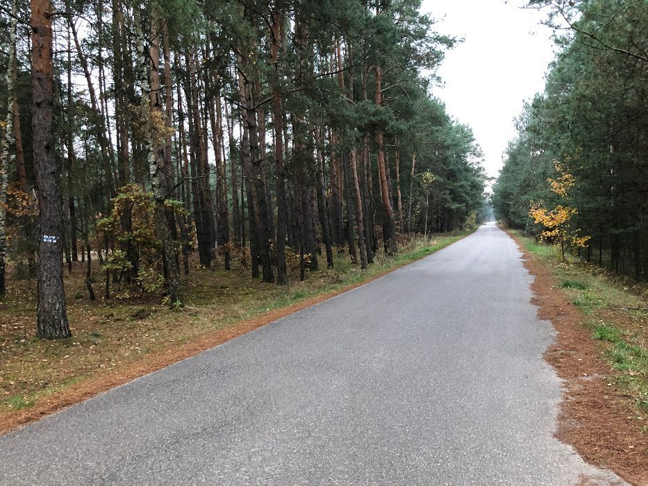 Działka rekreacyjna Biała Góra. Zdjęcie 3