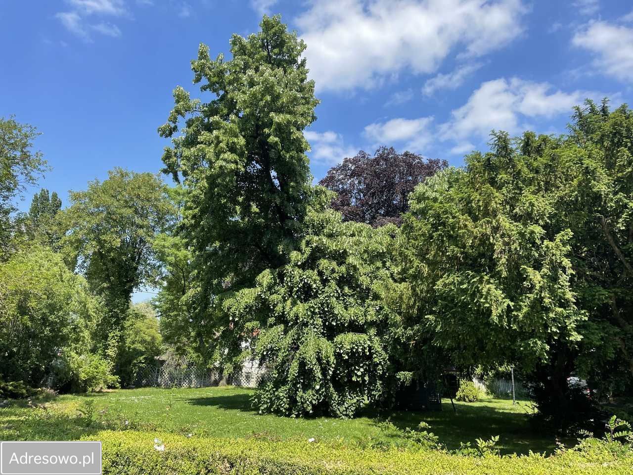 Hotel/pensjonat Świebodzice, ul. Ciernie. Zdjęcie 14