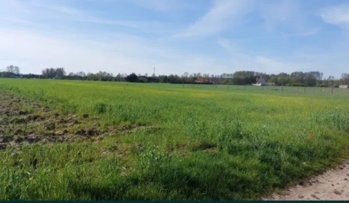 Działka rolna Rzęczkowo