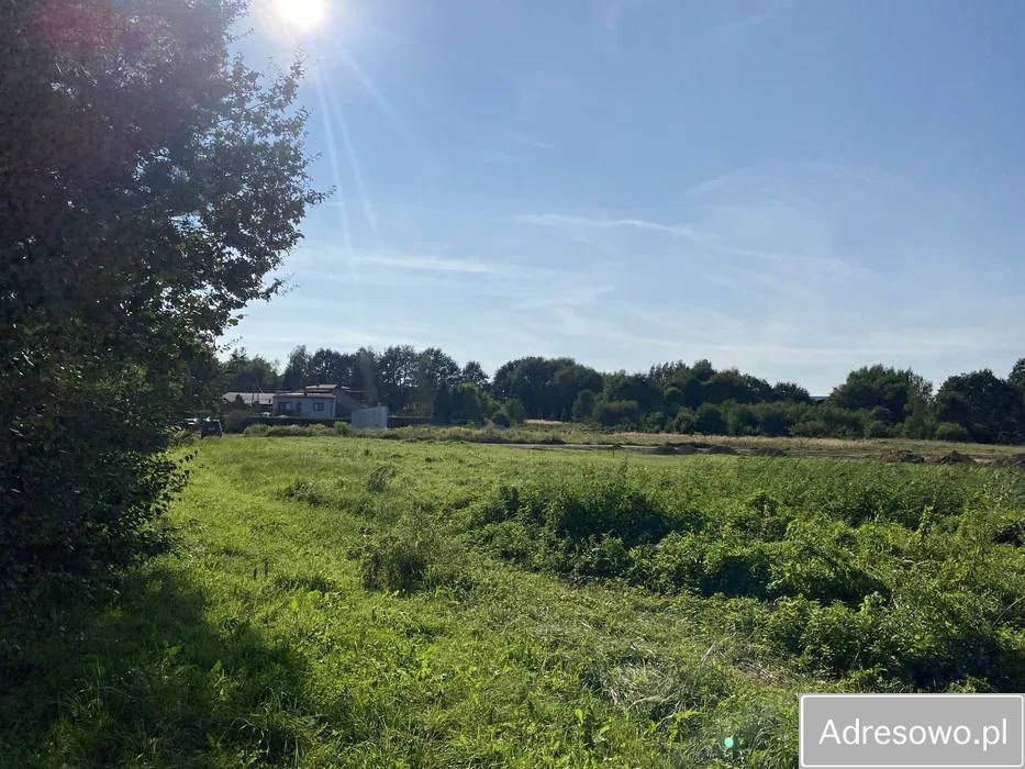 Działka budowlana Żory Rogoźna, ul. Łąkowa. Zdjęcie 8