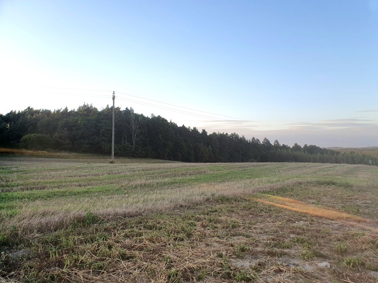 Działka rolno-budowlana Zaborowo. Zdjęcie 4