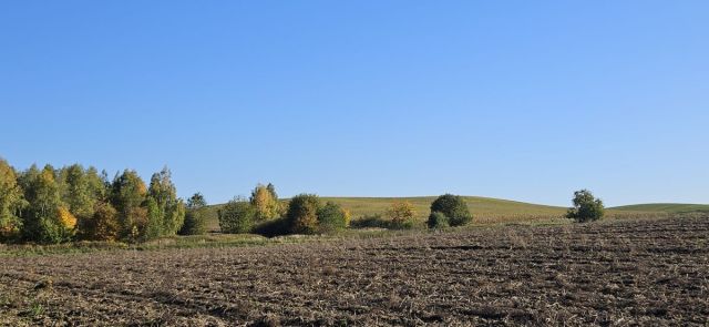 Działka rolna Kuraszków. Zdjęcie 2