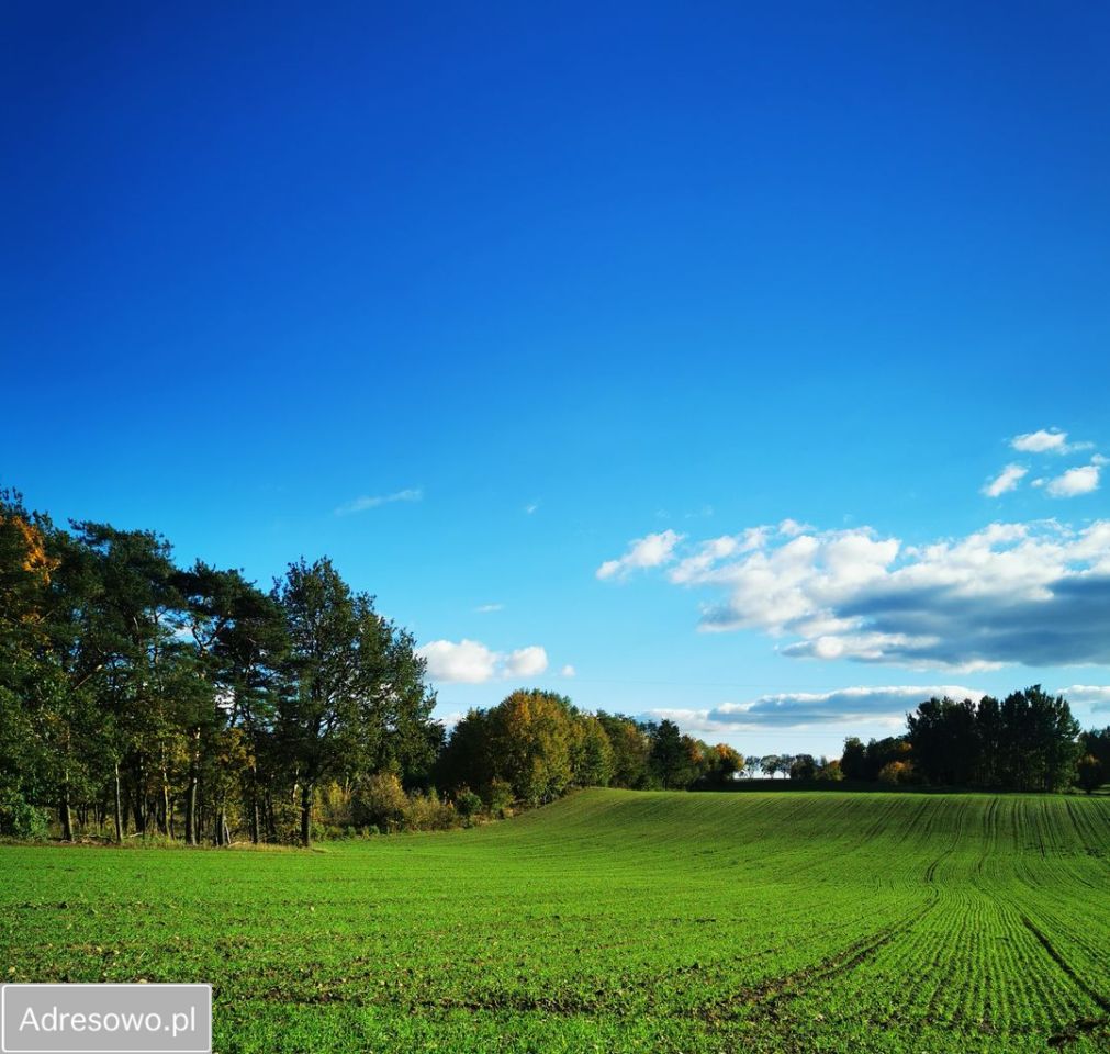dom wolnostojący, 5 pokoi Leonardów. Zdjęcie 17