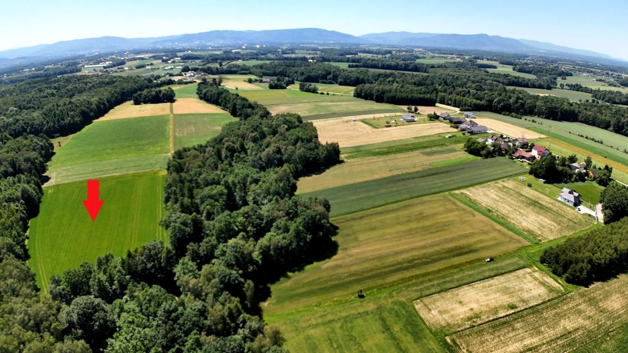 Działka rolna Osiek, ul. Podlesie. Zdjęcie 4
