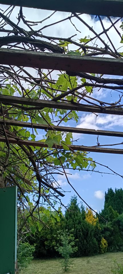Działka rekreacyjna Zimowiska, Brak. Zdjęcie 37