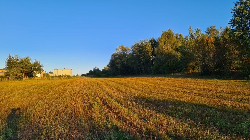Działka budowlana Rybnik Gotartowice, ul. Buchalików