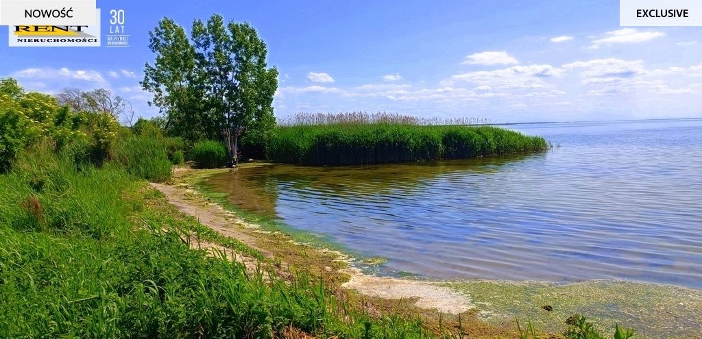 Działka rekreacyjna Płocin. Zdjęcie 3