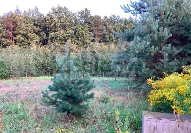 Działka budowlana Siestrzeń. Zdjęcie 1