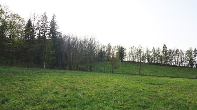 Działka budowlana Sosnówka, ul. Tyrolska. Zdjęcie 9