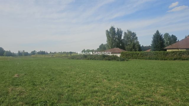 Działka inwestycyjna Cholerzyn. Zdjęcie 4