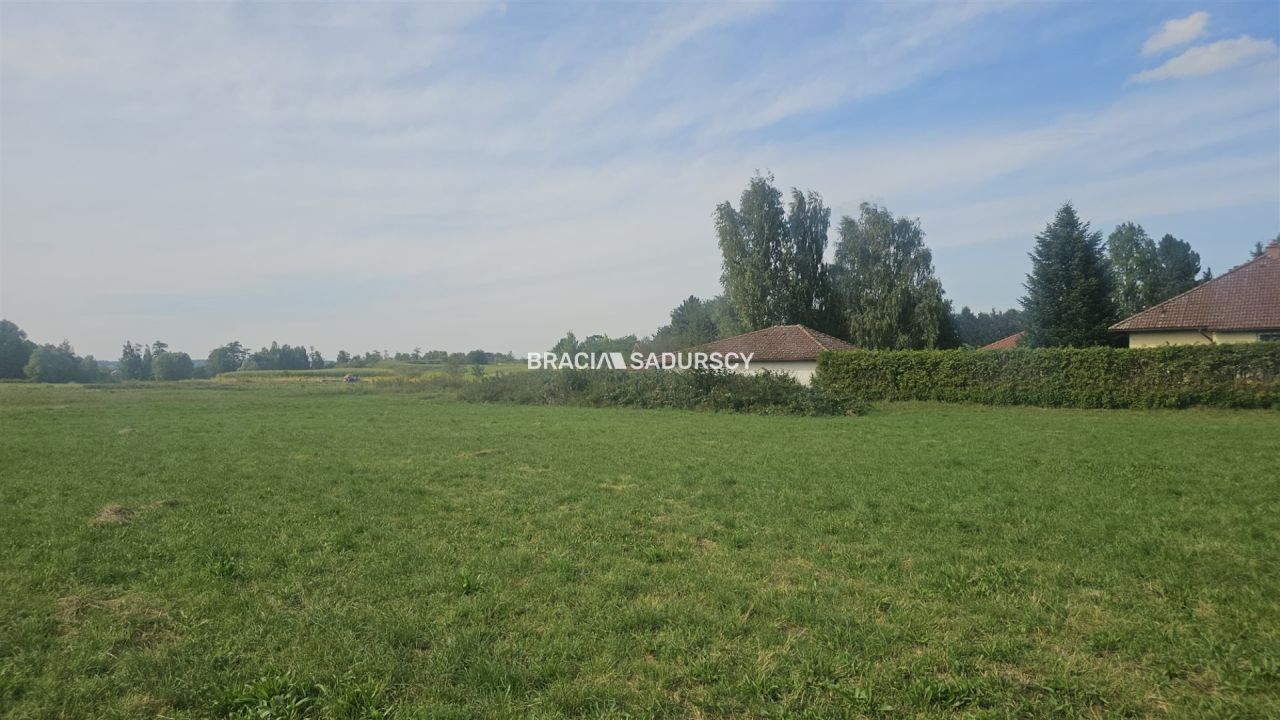 Działka inwestycyjna Cholerzyn. Zdjęcie 4