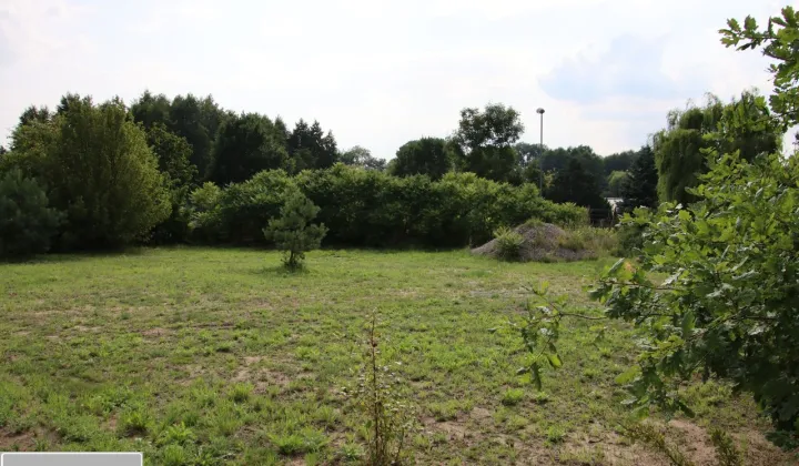 Działka budowlana Kłodawa, ul. Młodych