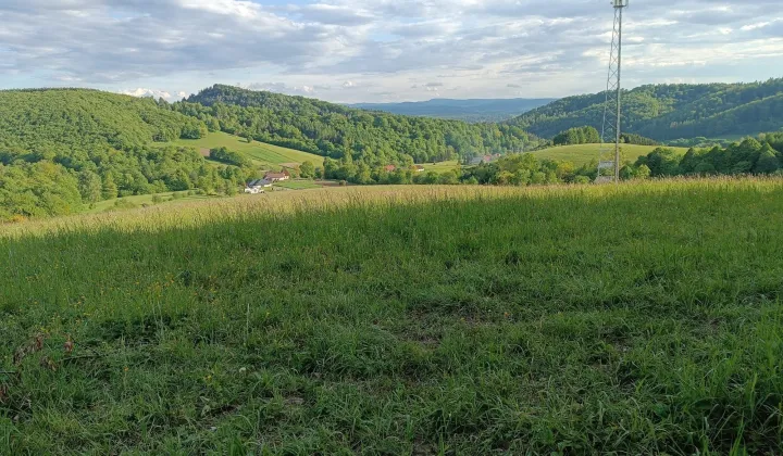 Działka rekreacyjna Wujskie