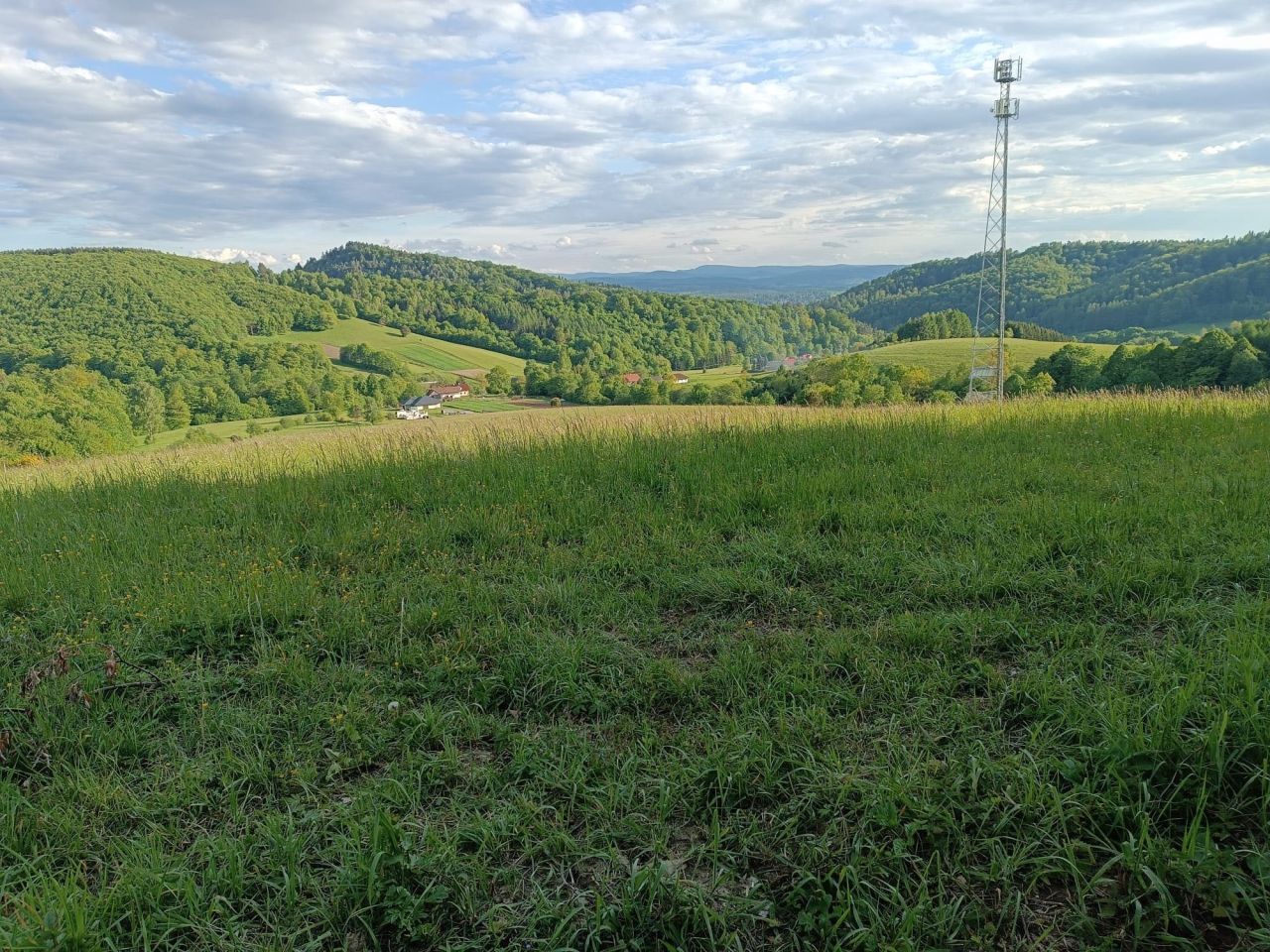 Działka rekreacyjna Wujskie