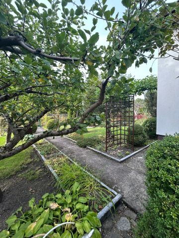 Działka rod Osówiec. Zdjęcie 16