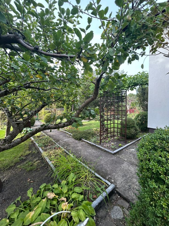 Działka rod Osówiec. Zdjęcie 16