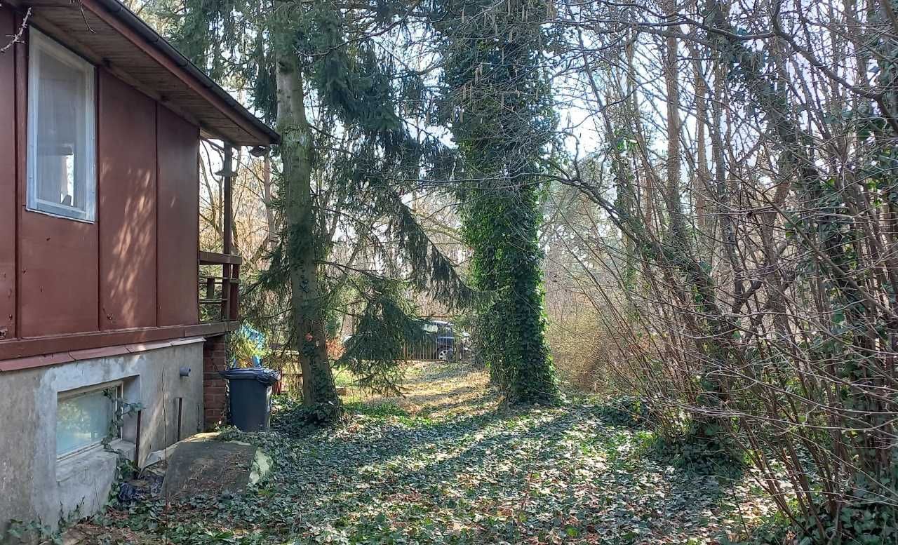 Działka Siedlątków. Zdjęcie 5