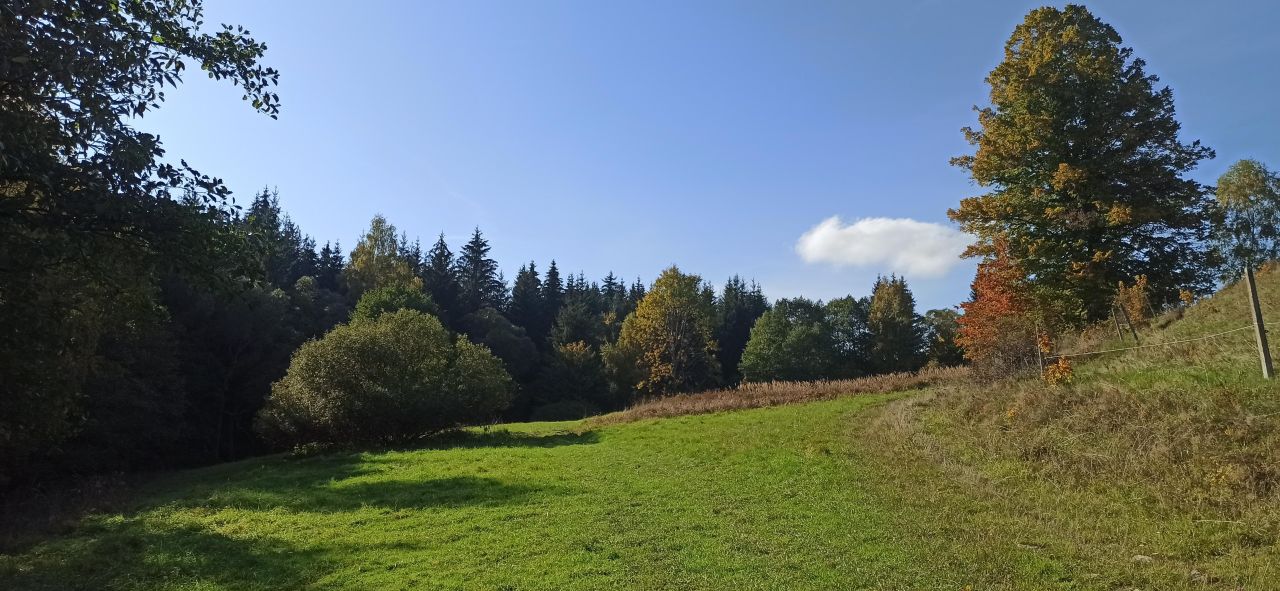 Działka siedliskowa Ludwikowice Kłodzkie Sowina, ul. Kopalniana. Zdjęcie 5