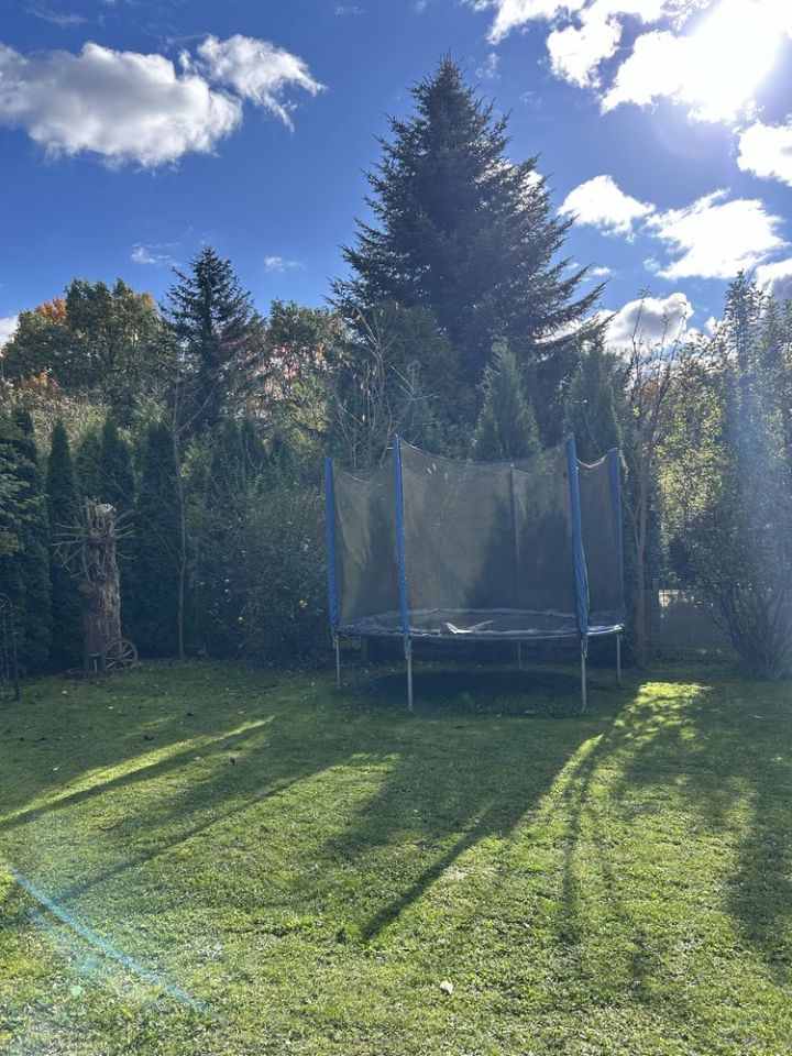 Działka rod Brzegi. Zdjęcie 4