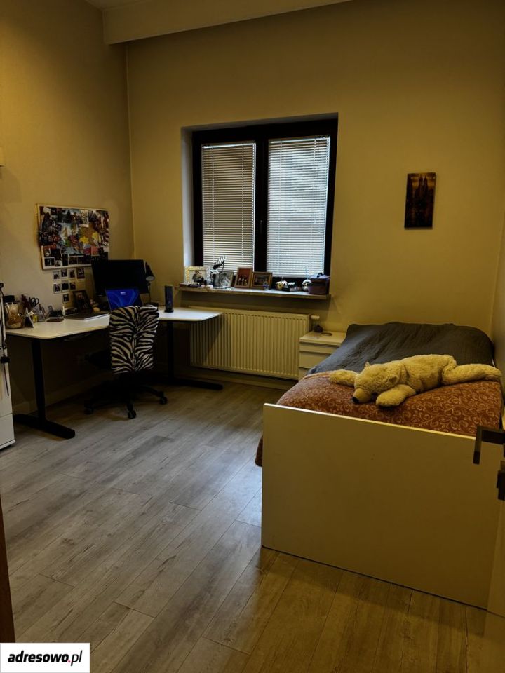 Zdjęcie 8
