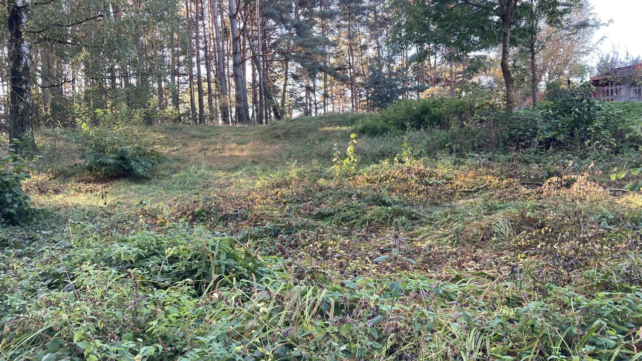 Działka inna Potaśnia, ul. Czereśniowa. Zdjęcie 9