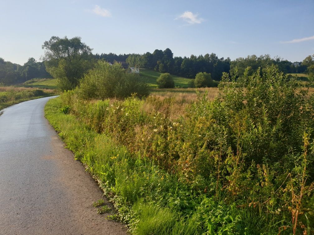 Działka rolna Głogoczów. Zdjęcie 2