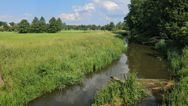 siedlisko, 3 pokoje Wólka Orłowska. Zdjęcie 5
