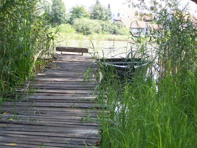 Działka budowlana Węgój. Zdjęcie 1