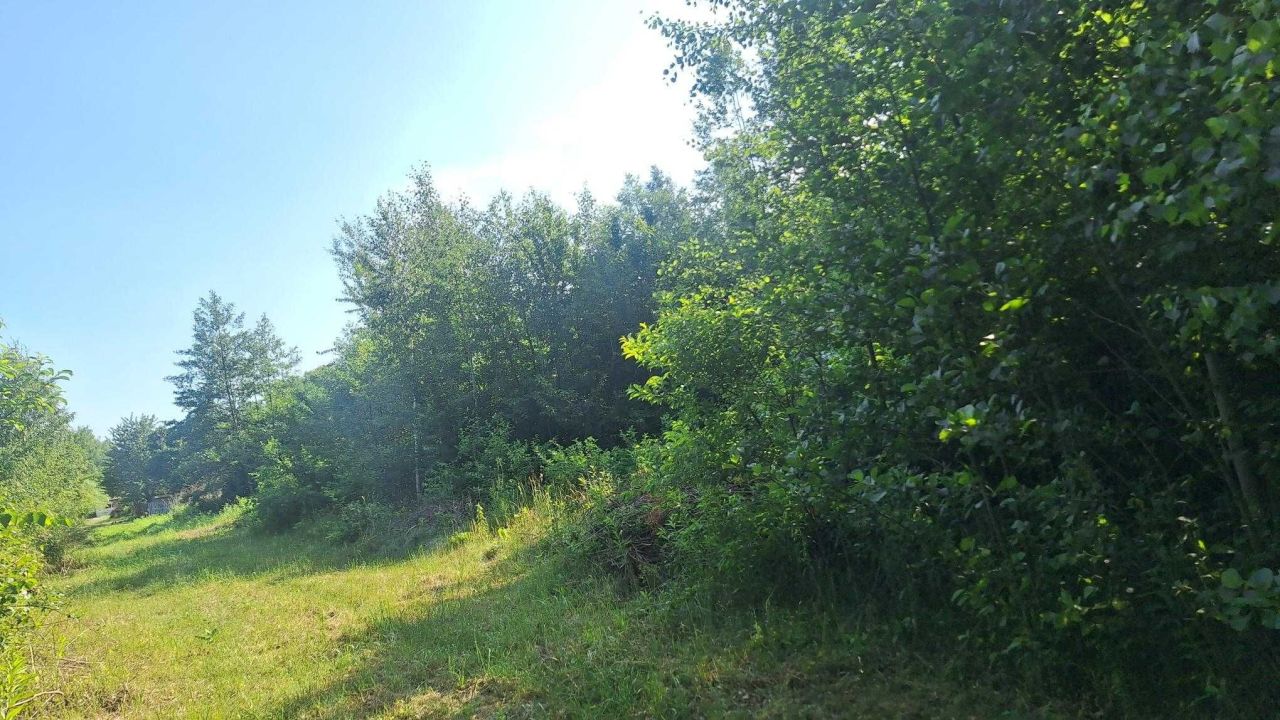 Działka rolna Tłuszcz Zakrzewie. Zdjęcie 3