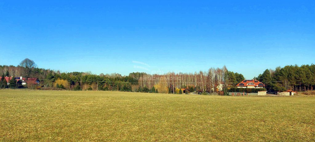 Działka rolna Marcinkowo. Zdjęcie 7