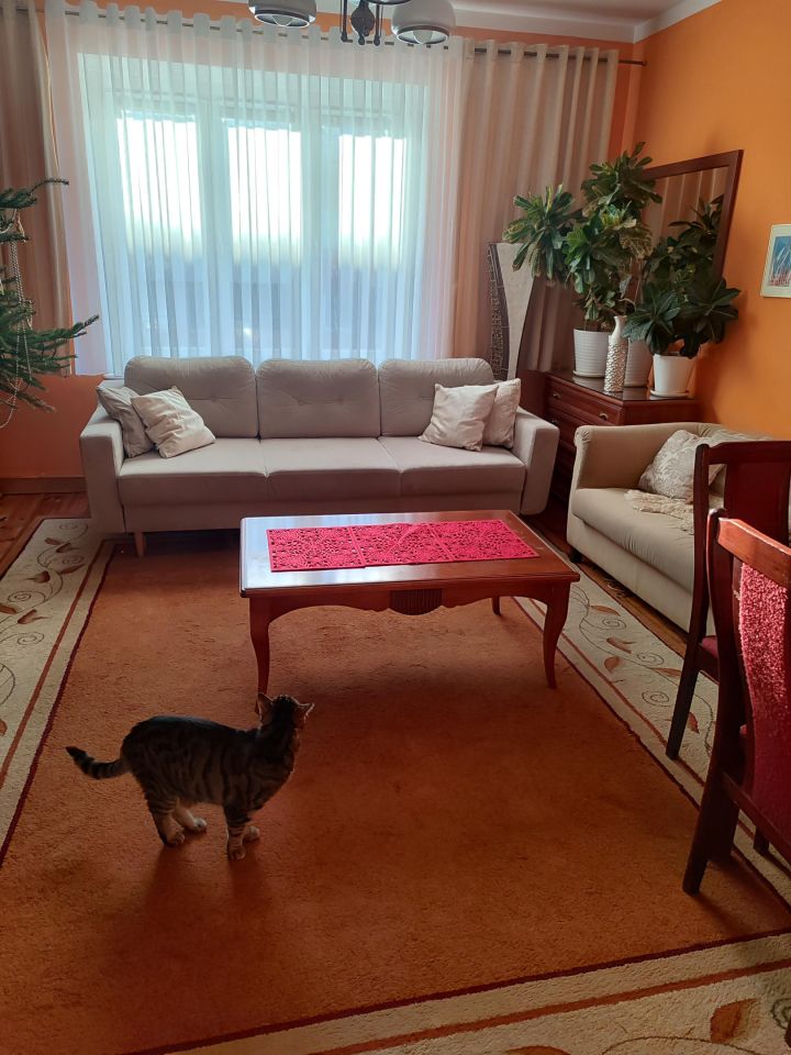 Mieszkanie 6-pokojowe Koszalin Centrum, ul. Dworcowa. Zdjęcie 7