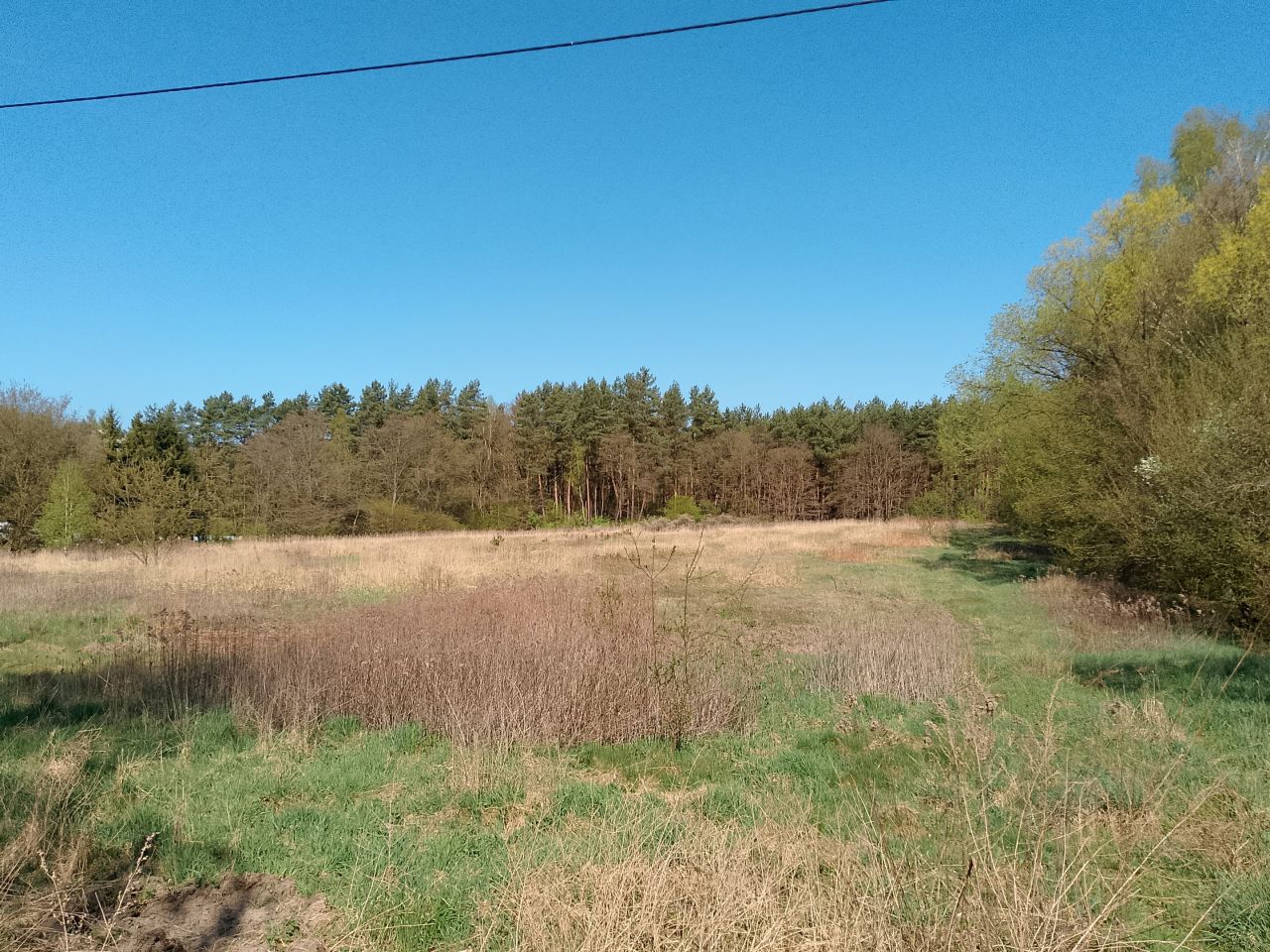 gospodarstwo, 3 pokoje Moszyce Wesółka, Sportowa. Zdjęcie 8