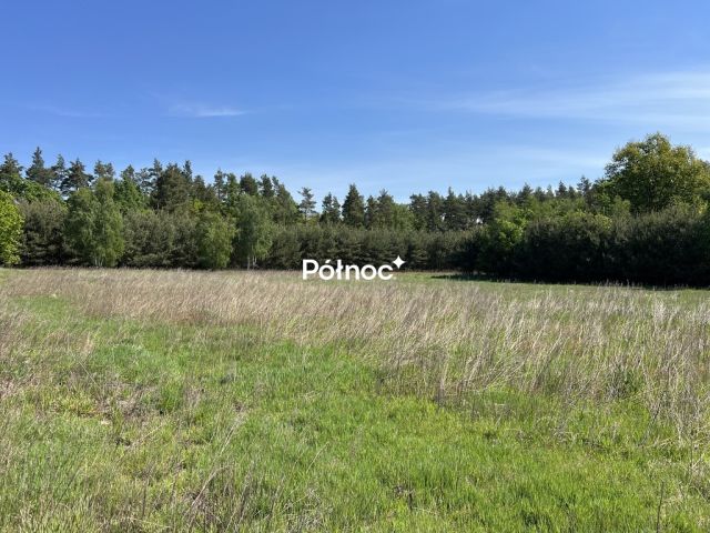 Działka rolno-budowlana Tymowa. Zdjęcie 12
