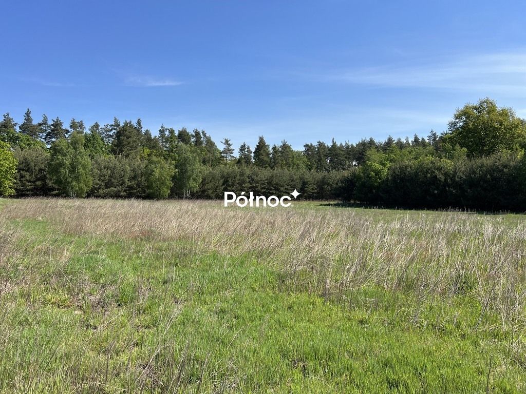 Działka rolno-budowlana Tymowa. Zdjęcie 12