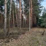 Działka rolna Górki Pierwsze. Zdjęcie 2