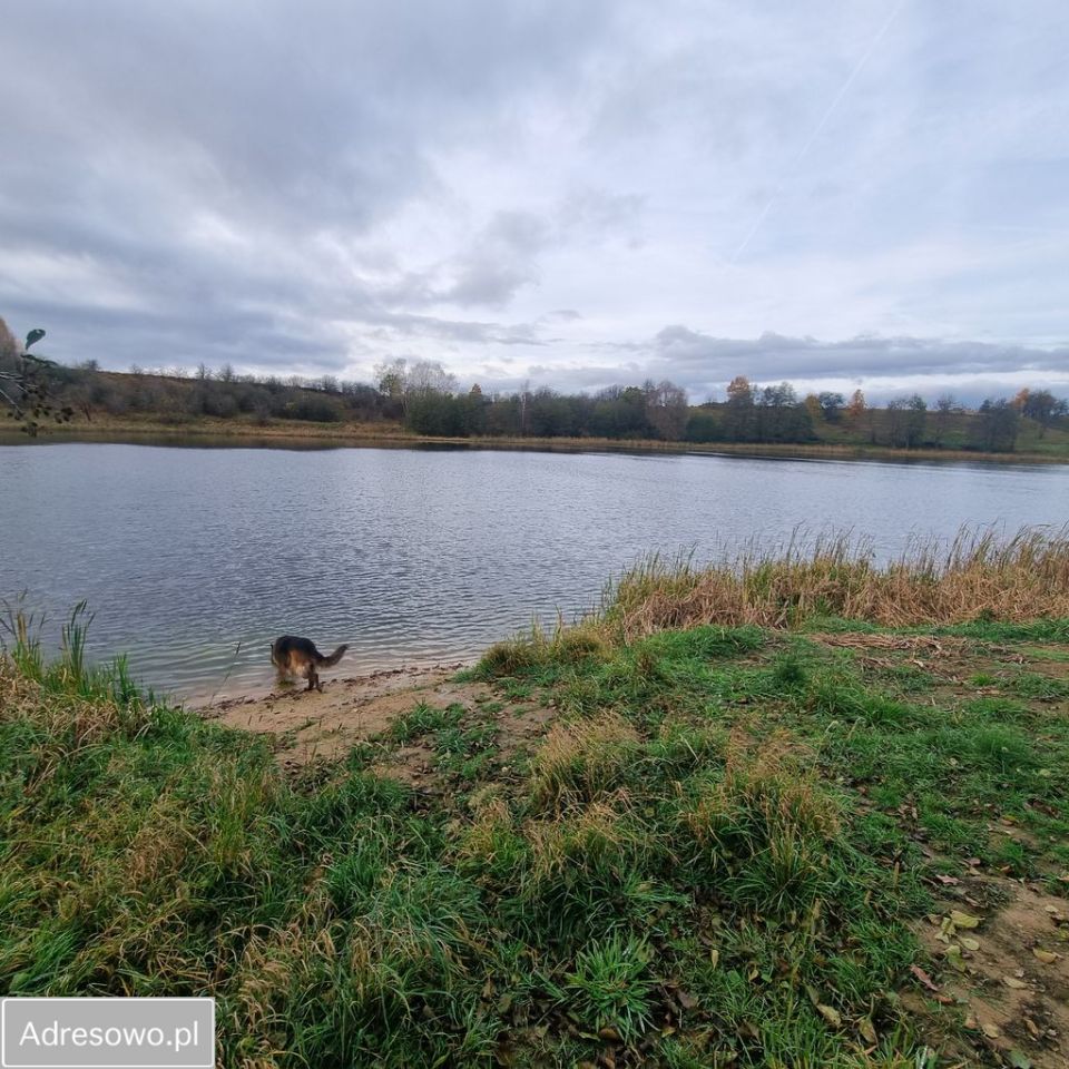 Działka budowlana Żabin. Zdjęcie 3
