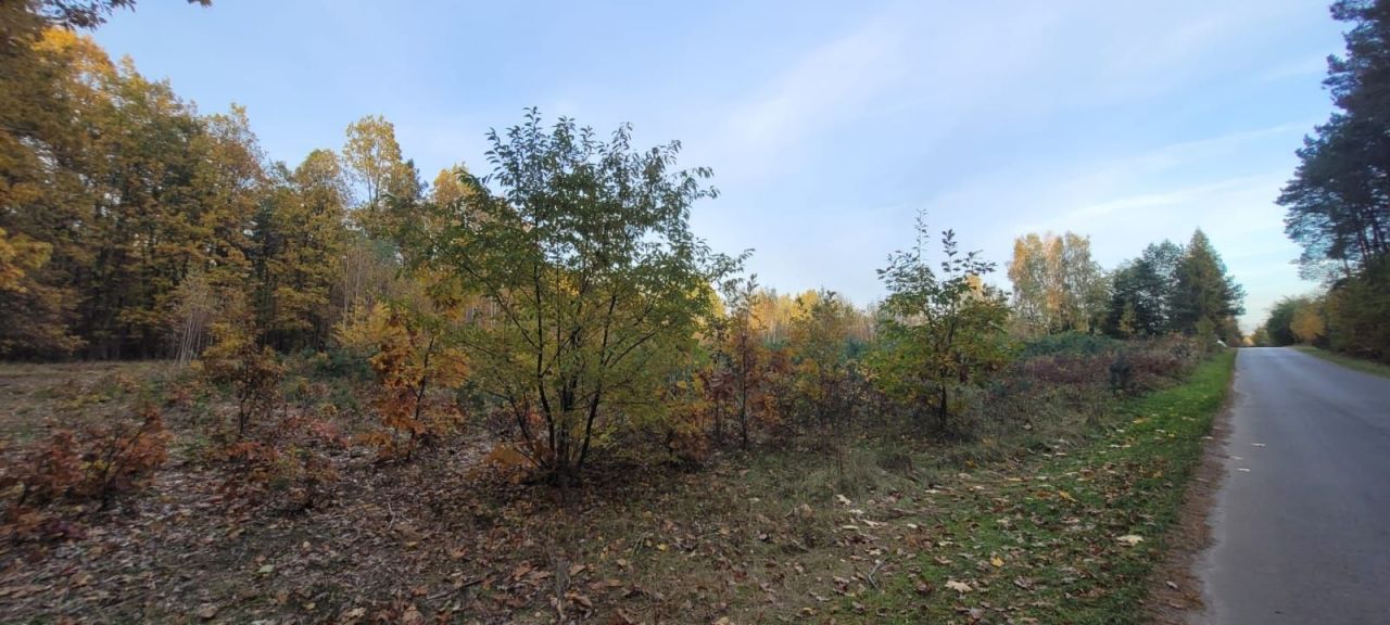 Działka rolno-budowlana Miłkowska Karczma. Zdjęcie 5