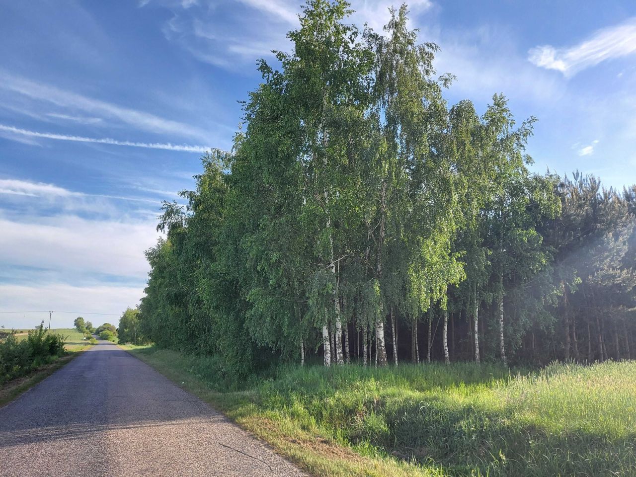 Działka leśna Zakrzewo-Parcele. Zdjęcie 8