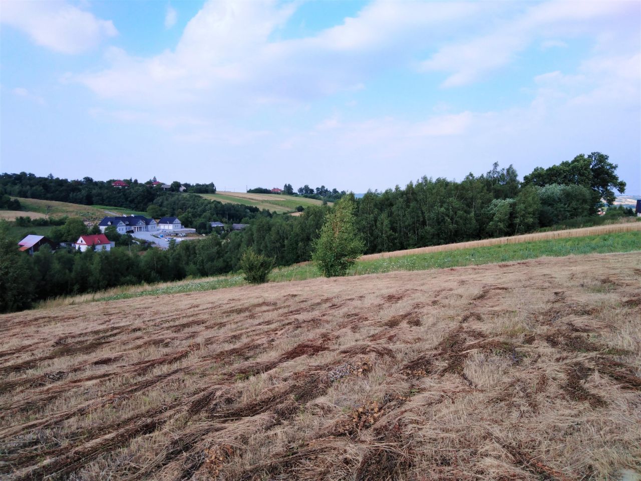 Działka rolno-budowlana Michałowice, ul. Leśna. Zdjęcie 2